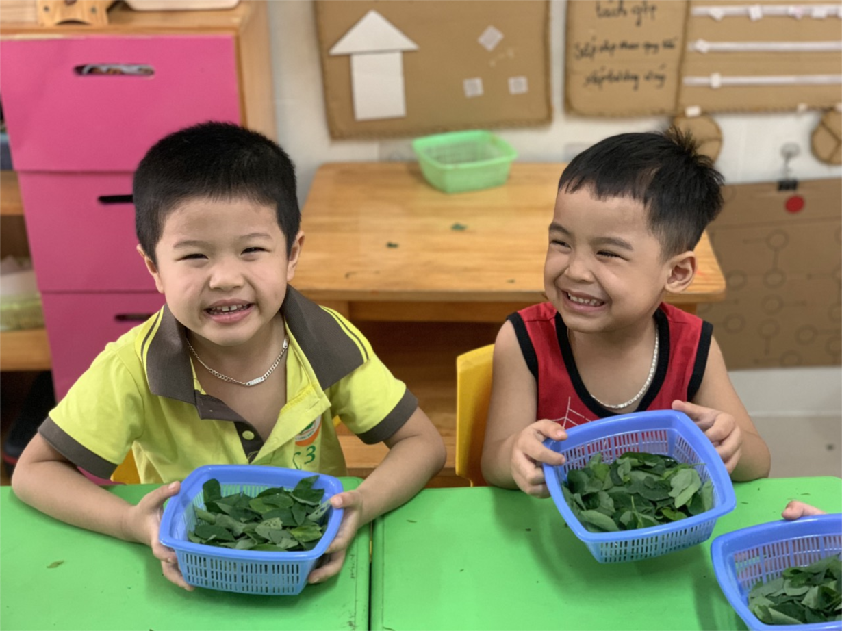 Hình ảnh các bé lớp C3 thực hành tuốt rau ngót